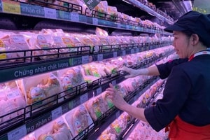 Việt Nam nhập hơn 56.500 tấn thịt gia cầm từ châu Âu, đứng thứ hai Đông Nam Á