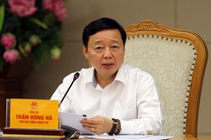 Rà soát, tích hợp, cập nhật toàn diện chính sách khuyến khích đầu tư vào nông nghiệp, nông thôn