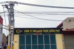 Bên trong công ty cung cấp thịt lợn nhiễm dịch tả lợn Châu Phi vào trường học