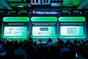 VPBankS thống trị mảng tư vấn đầu tư tài chính nhóm CTCK sau 5 năm về tay VPB