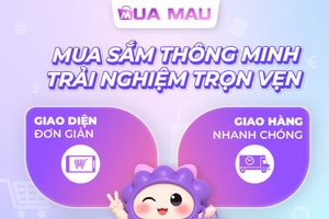 Kinh doanh online 2026: Không cần vốn lớn, chỉ cần chọn đúng điểm tựa