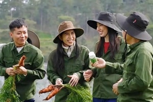 Bộ Công an công bố 13 loại thực phẩm bổ sung là giả, người tiêu dùng cần kiểm tra ngay