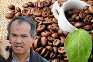 Trồng 20.000ha cà phê giữa lúc mất giá 40%: Bầu Đức nhìn nông dân vẫn giàu, tuyên bố 'HAGL chẳng thể lỗ'