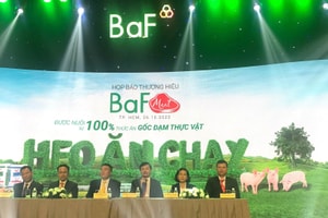 BAF Việt Nam đặt mục tiêu sản lượng heo vượt 1,2 triệu con, lợi nhuận tăng trên 500%