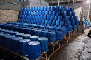 Người phụ nữ sinh năm 1990 dùng chất độc có thể gây chết người để sản xuất hơn 500 tấn giá đỗ
