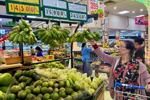Chỉ đạo, điều hành của Chính phủ, Thủ tướng Chính phủ nổi bật tuần từ 28/3-3/4/2026