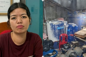 Khởi tố Chu Thị Hòa tuồn 510 tấn giá đỗ 'ngậm' chất cấm ra thị trường