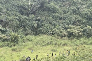 Huy động hơn 200 người cùng flycam tìm kiếm ông Lê Văn Dương, 56 tuổi