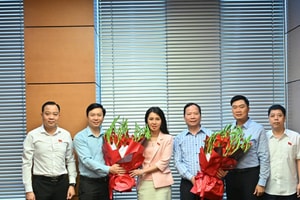 Chủ tịch MTTQ tỉnh Lạng Sơn làm Trưởng đoàn ĐBQH tỉnh Lạng Sơn