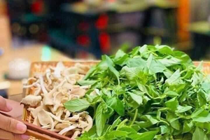 Loại lá tạo nên nồi lẩu 'gây nghiện': Từng mọc hoang đầy bờ rào, nay giá tới 80.000 đồng/kg