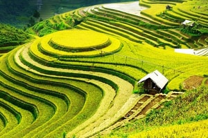 Việt Nam định vị một vùng kinh tế giữ vai trò kết nối Đông Nam Á với Trung Quốc, Trung Á và châu Âu