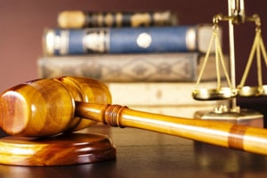 Tuyên án 10 năm tù đối với cựu Giám đốc tài chính Du Thị Phương Thảo