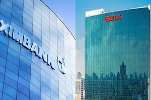 Gelex nắm quyền tại Eximbank, cổ phiếu ngay lập tức được khuyến nghị tăng tỷ trọng với upside 15%