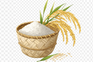 Quốc gia nằm trên vành đai núi lửa, là 'khách sộp' của Việt Nam, bất ngờ khởi xướng điều tra biện pháp tự vệ toàn cầu với gạo nhập khẩu
