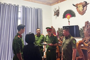 Chính thức khởi tố một chủ xưởng gỗ lớn, doanh thu 143 tỷ đồng