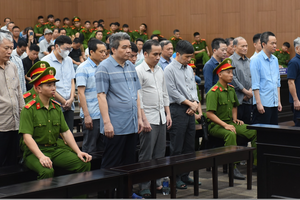 Tuyên án 14 năm tù, buộc bồi thường gần 270 tỷ đồng đối với một Giám đốc công ty xây dựng