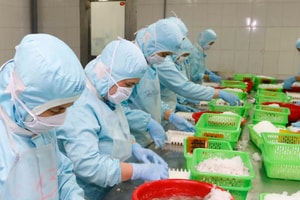 Doanh nghiệp xuất khẩu tôm 'cầu cứu'