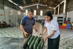 Xử phạt hành chính cơ sở cung cấp thịt lợn nhiễm virus dịch tả châu Phi cho trường mầm non ở Thái Nguyên