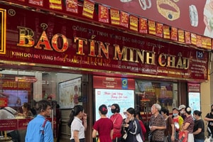 Từ vụ Bảo Tín Minh Châu, Cục Thuế đã phải tung biện pháp đặc biệt áp dụng trên cả nước nhằm chấm dứt gian lận