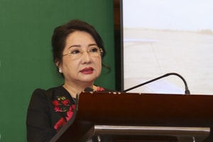 Giữa lúc xét xử vụ án 'đất vàng' 39 - 39B Bến Vân Đồn, tài sản của bà Nguyễn Thị Như Loan bất ngờ tăng thêm hàng trăm tỷ đồng