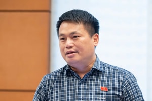 Đại biểu Quốc hội: Không thể chờ đến khi khát mới bắt đầu đào giếng