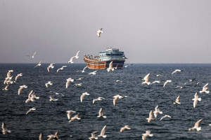 Iran chỉ cho phép tối đa 15 tàu đi qua eo biển Hormuz mỗi ngày