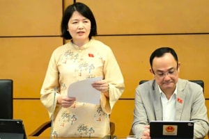 ĐBQH đề xuất xây dựng biện pháp cấm hoặc hạn chế trẻ em sử dụng mạng xã hội trên một số nền tảng phổ biến