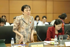 Đại biểu Phạm Khánh Phong Lan: ‘Rất đau đớn’ khi hiệu trưởng đi tù vì dạy thêm
