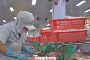 Cả vùng Đồng bằng sông Cửu Long chỉ có 24 tỷ USD vốn FDI