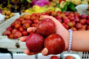 Loại quả đặc sản của tỉnh lớn nhất miền Bắc: Chính vụ giá rẻ như cho, đầu mùa leo thang 250.000 đồng/kg vẫn cháy hàng