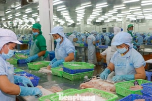 Doanh nghiệp đối mặt loạt thách thức 'sống còn'