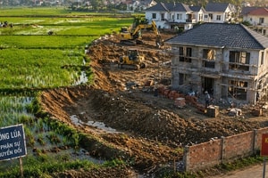 Kể từ nay, chuyển đất trồng lúa sang đất ở trái phép có thể bị phạt đến 400 triệu đồng