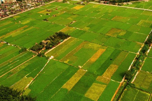 Người dân sẽ được nhận tối đa 500.000.000 đồng khi Nhà nước thu hồi đất: Loại đất gì, áp dụng từ bao giờ, đó là địa phương nào?