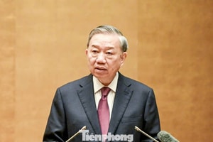 Tổng Bí thư, Chủ tịch nước Tô Lâm: Chấm dứt tình trạng đầu tư theo phong trào