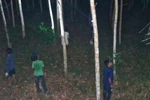 Nghề lạ hái ra tiền: Chỉ cần xô với đèn pin, hàng nghìn người dân Huế săn sản vật, mỗi đêm kiếm tới 500 triệu đồng