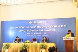 Cổ phiếu NKG tím trần: Lãnh đạo Thép Nam Kim nhắm tham gia lĩnh vực ô tô