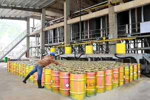 Trung Quốc 'rời sân', Việt Nam vươn lên nắm 50% thị phần toàn cầu của mặt hàng tỷ USD