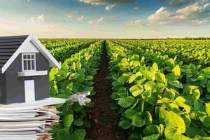 Từ nay, người dân được giảm tiền sử dụng đất khi chuyển đất nông nghiệp sang đất ở