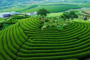 Việt Nam sắp có thêm khu du lịch quốc gia, quy mô hơn 200.000ha trải dài 12 xã phường tại tỉnh rộng nhất miền Bắc