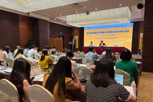 ĐHĐCĐ 2026 HVC Group: Sở hữu 1.300 tỷ đồng hợp đồng gối đầu, đặt mục tiêu tăng trưởng doanh thu tối thiểu 50%