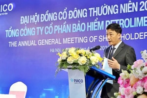 Cổ đông 'truy' trách nhiệm vụ hai đời Tổng Giám đốc vướng lao lý, Chủ tịch Bảo hiểm Petrolimex nói gì?