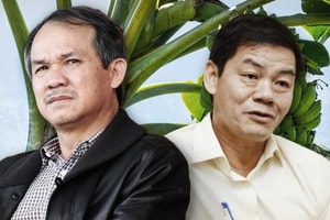 Bầu Đức rút lui, THACO của ông Trần Bá Dương cử loạt nhân sự chủ chốt vào HAGL Agrico