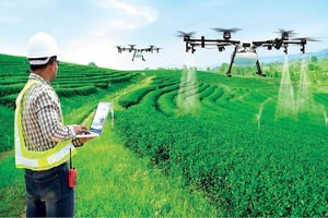 Việt Nam chuẩn bị gì cho kịch bản xấu nhất từ Trung Đông?