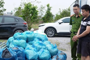 Kiểm tra đột xuất cơ sở sản xuất giá đỗ rộng 1.000m2, thu giữ gần 4 tấn hàng 'ngậm' hóa chất cấm