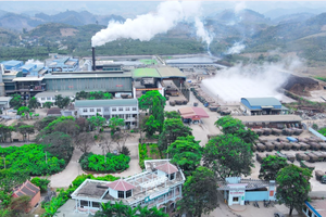Thanh tra chỉ ra sai phạm tại khu đất hơn 22.000m2 của doanh nghiệp vốn hóa nghìn tỷ