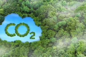 Thị trường carbon mở cửa: Doanh nghiệp Việt chậm chân có thể mất trắng cơ hội