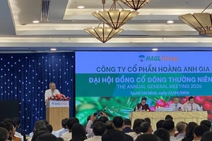 Cổ đông hỏi lấy tiền ở đâu trồng 20.000ha cà phê, bầu Đức tự tin 'không thiếu nguồn'