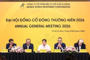 MWG: Bách Hóa Xanh không mơ mộng về Indonesia, dồn lực 'Bắc tiến'
