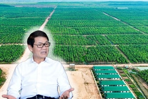 Dự án tại Lào sắp mang về 500 triệu USD cho công ty đang lỗ gần 10.400 tỷ đồng của ông Trần Bá Dương