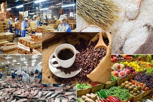 Từ nay, Việt Nam chính thức có nền tảng chợ đầu mối nông sản trực tuyến tại Singapore